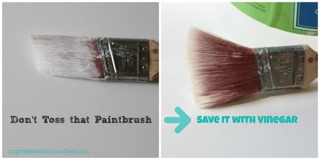 How to Clean Paintbrushes: How to Safely Clean, Store and