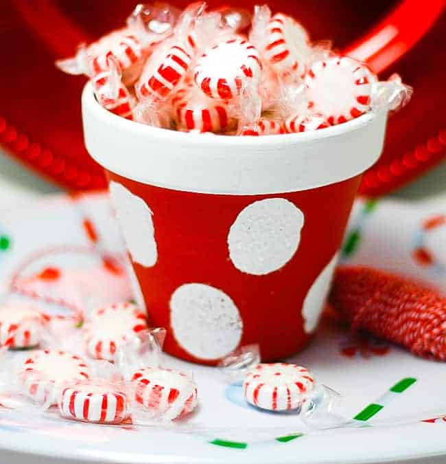 https://thehowtohome.com/wp-content/uploads/2013/11/Red-and-White-Christmas-Polka-Dot-Pot-9-of-11.jpg