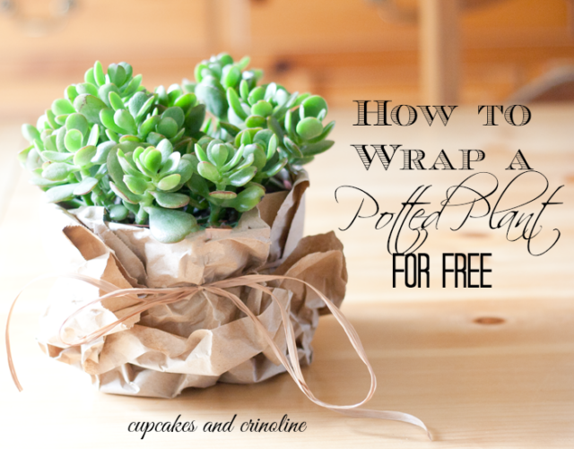 The Elegant, Rustic and Free Way to Wrap Potted Plants The HowTo Home