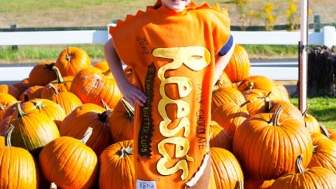 Reese's Peanut Butter Cup Costume