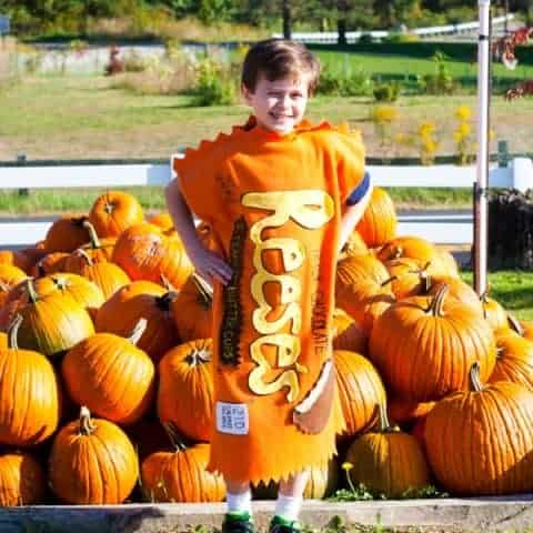 Reese's Peanut Butter Cup Costume