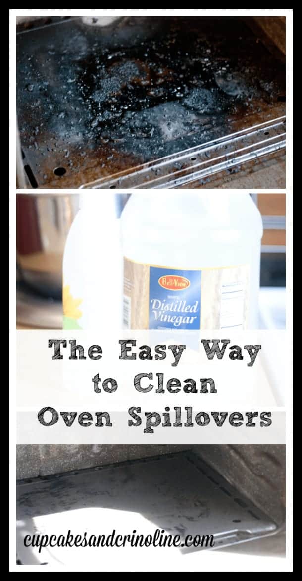 How To Clean Your Oven Without Chemicals The HowTo Home