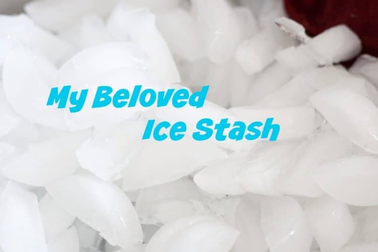 The 60 Second Fix for Funky Tasting Ice Cubes The HowTo Home