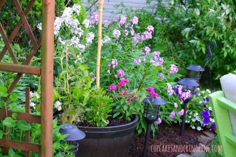 The Secret to Creating a Cozy and Charming Outdoor Space ~ flowerbed mix of annuals and perennials cupcakesandcrinoline.com