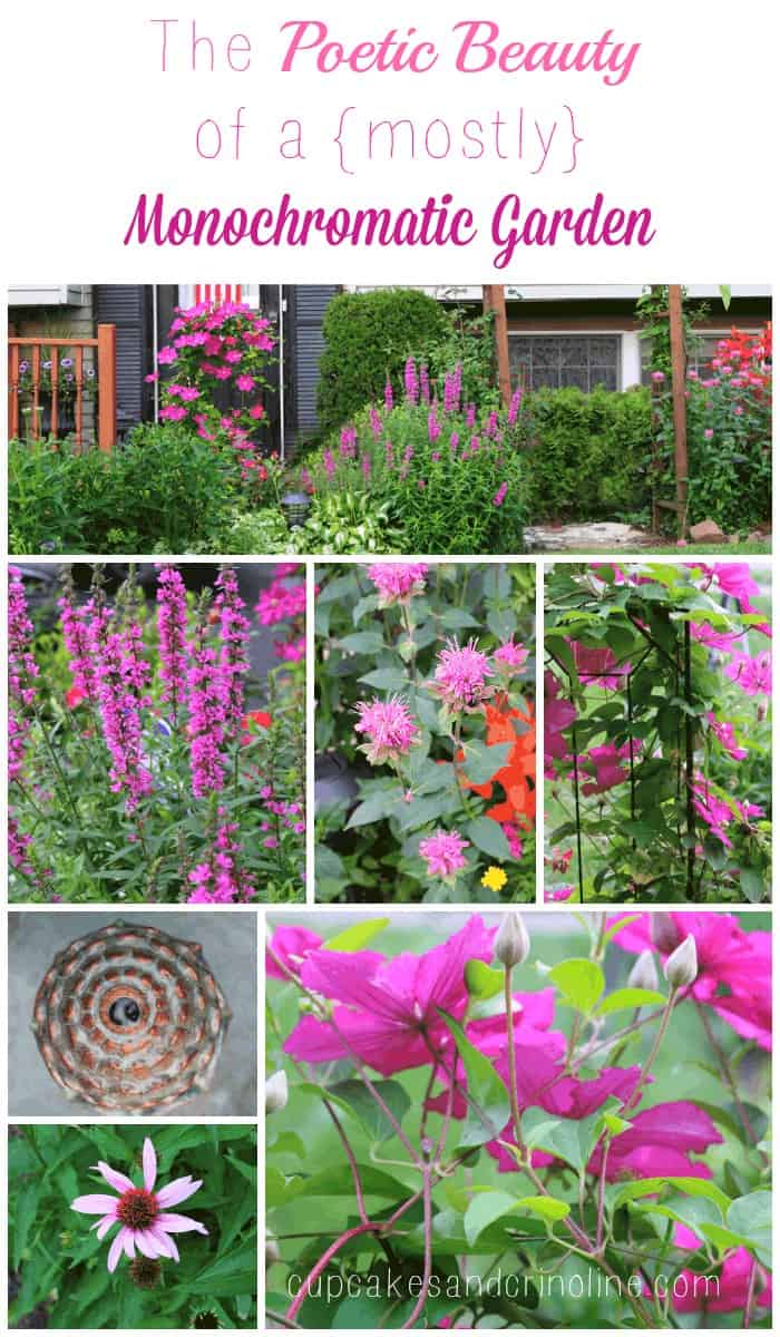 Tips for Transitioning Container Gardens From Summer to Autumn Displays -  The How-To Home