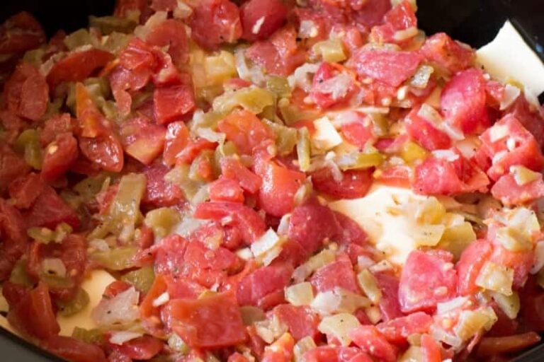 Slow Cooker Queso Blanco aka Darn Good Cheesy Dip The HowTo Home