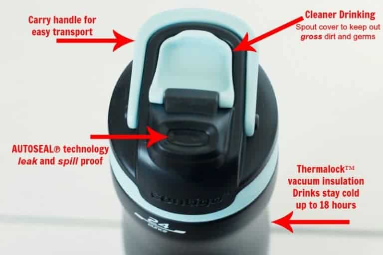 How To Make Simple Fruit Infused Ice Cubes The HowTo Home