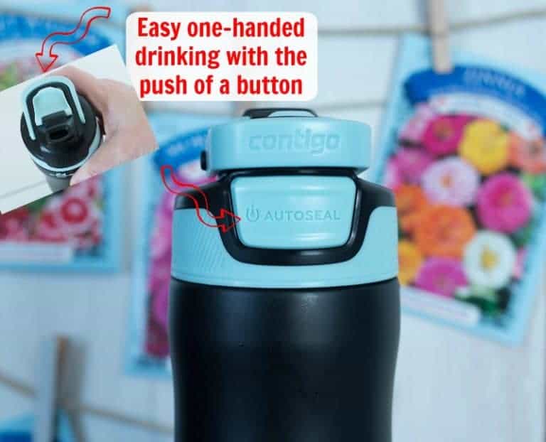 How To Make Simple Fruit Infused Ice Cubes The HowTo Home