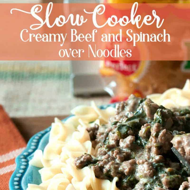 Slow Cooker Creamy Beef and Spinach over Noodles from cupcakesandcrinoline.com