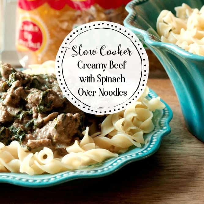 Crockpot Creamy Beef and Noodles The HowTo Home