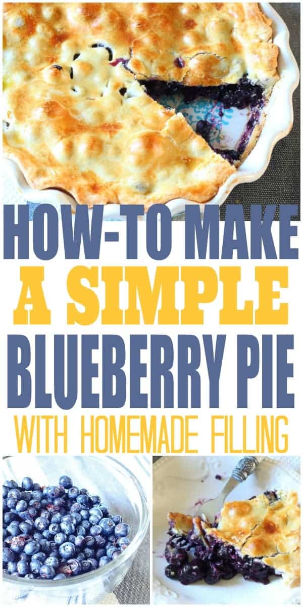 How-To Make a Simple Blueberry Pie with Homemade Filling - The How-To Home