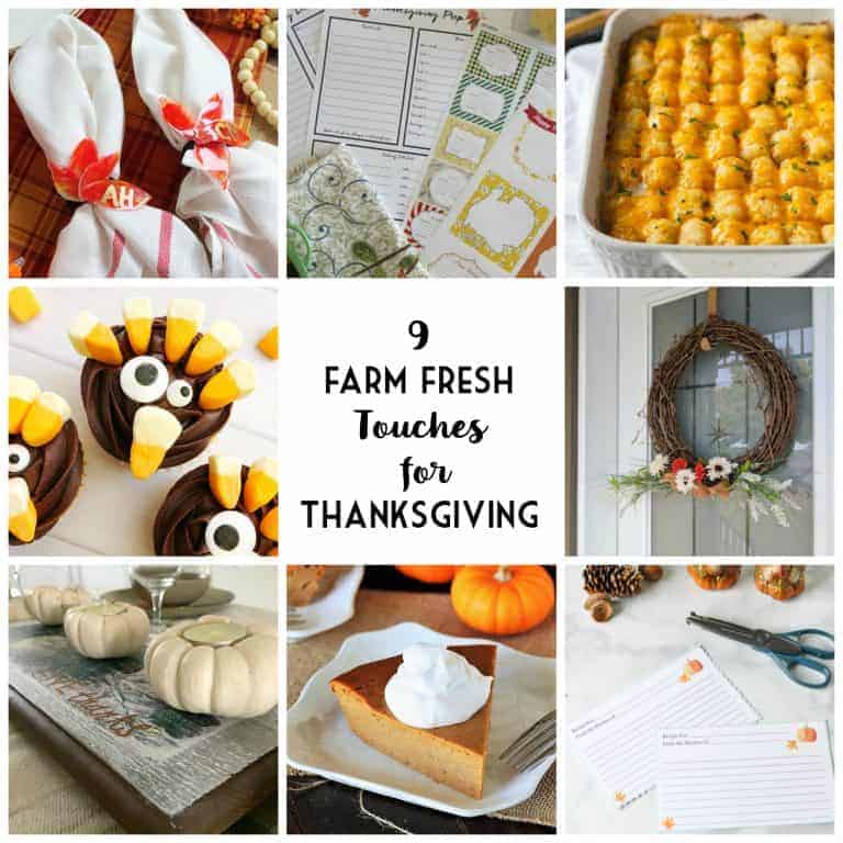 9 Thanksgiving ideas that are farm fresh