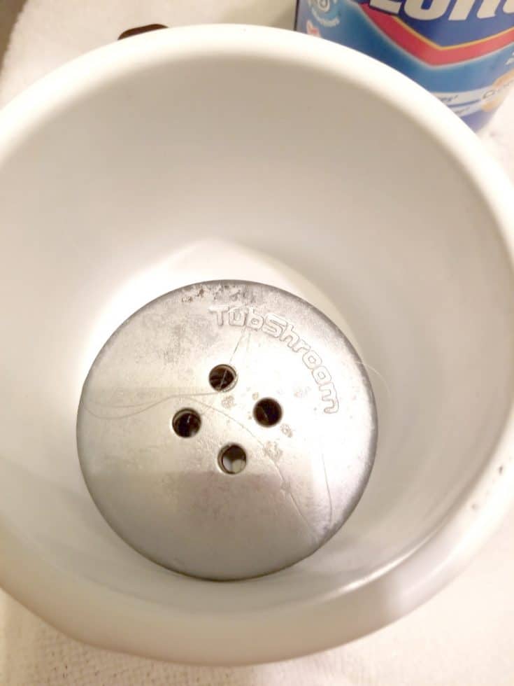 HowTo Keep Your Drains Clog Free The HowTo Home