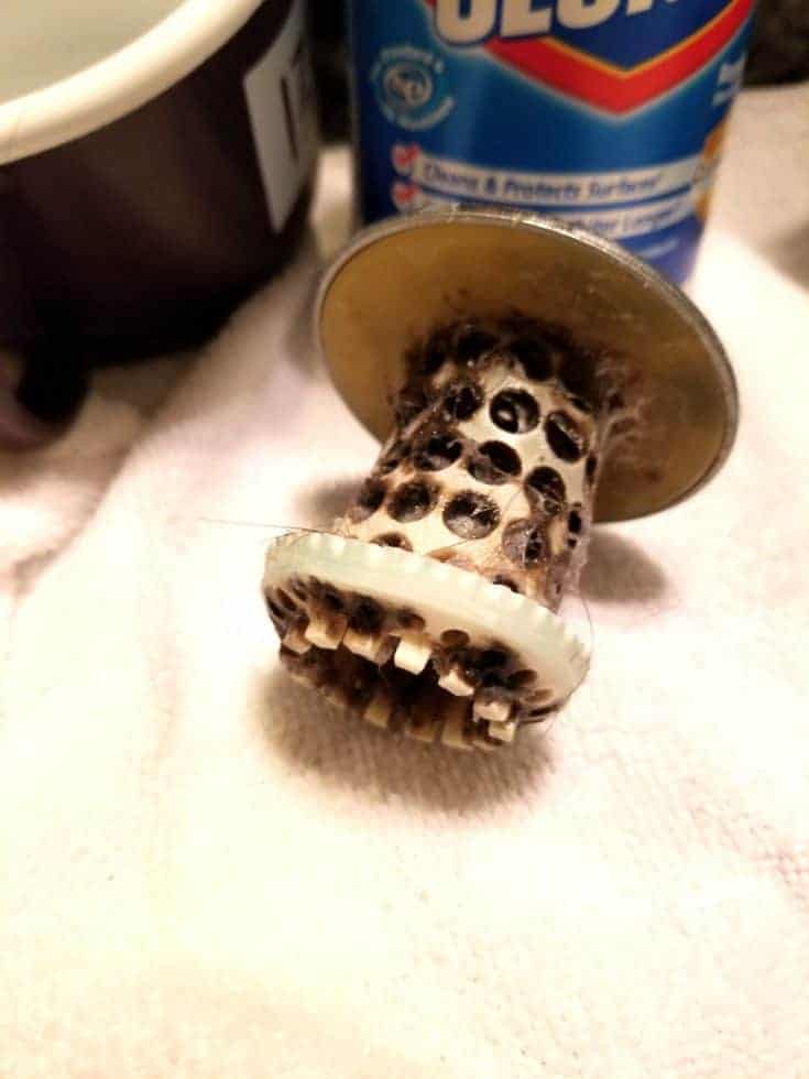 HowTo Keep Your Drains Clog Free The HowTo Home