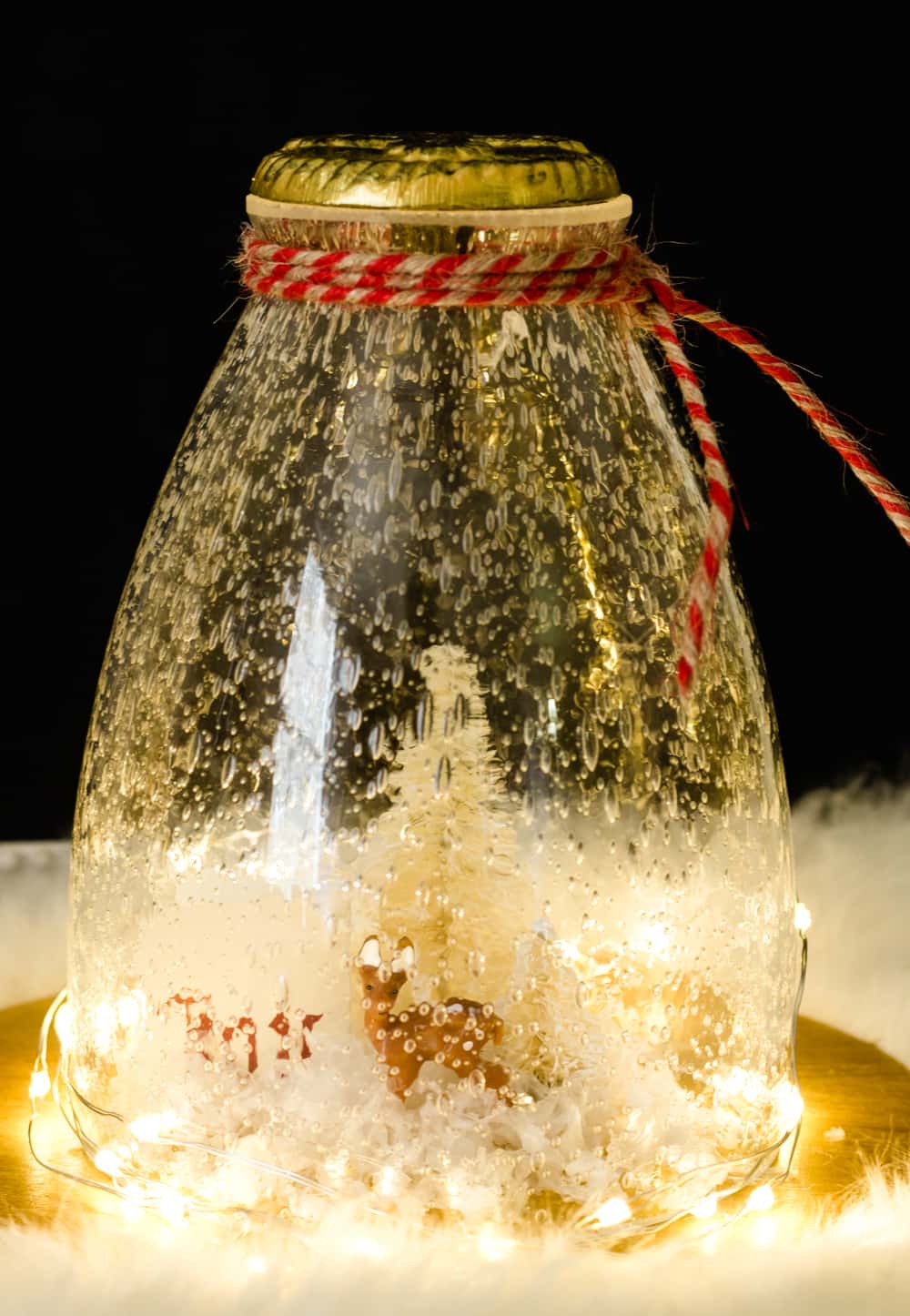 DIY Upcycled Snow Globe | The How-To Home