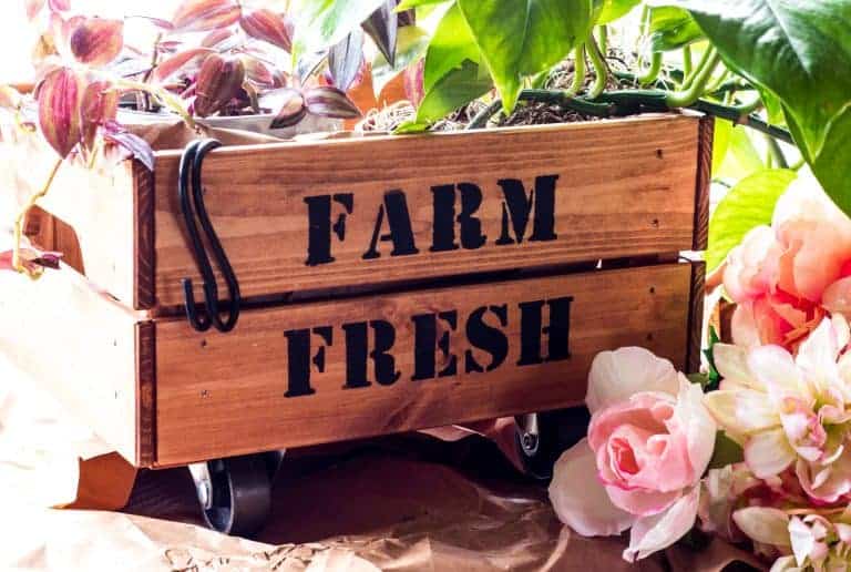 Easy Garden-Themed Planter from an Ikea Crate