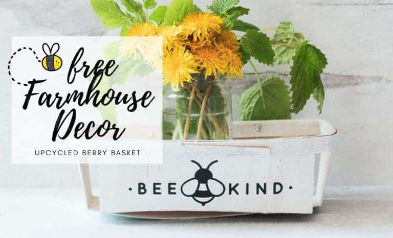Upcycled Berry Basket