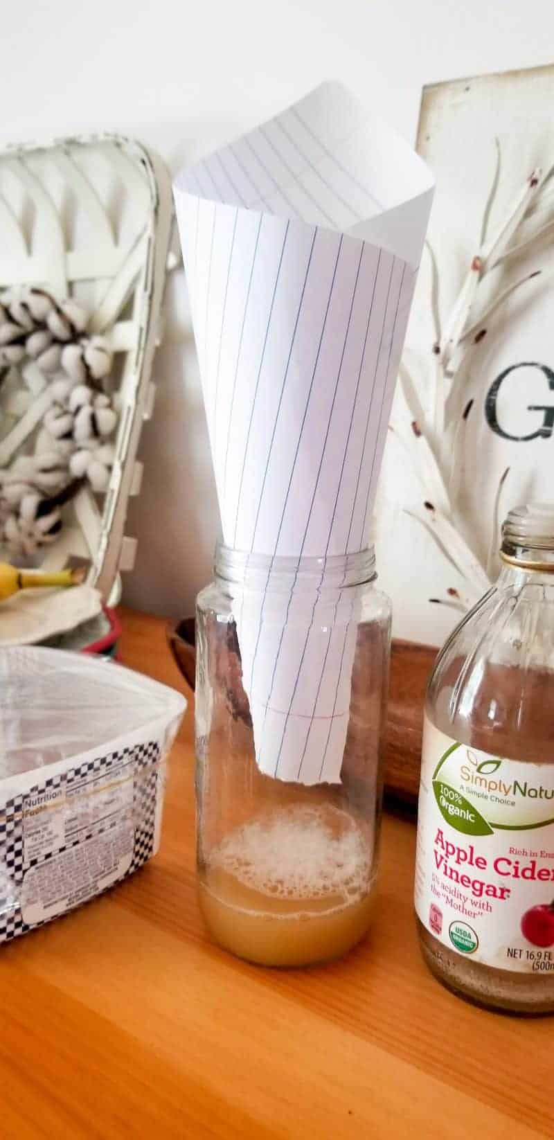 How To Make a Fruit Fly Trap (Paper Cone Hack)