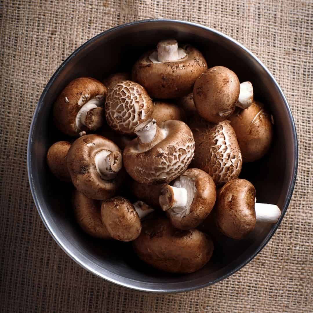 mushroom puff pastry bites - The How-To Home