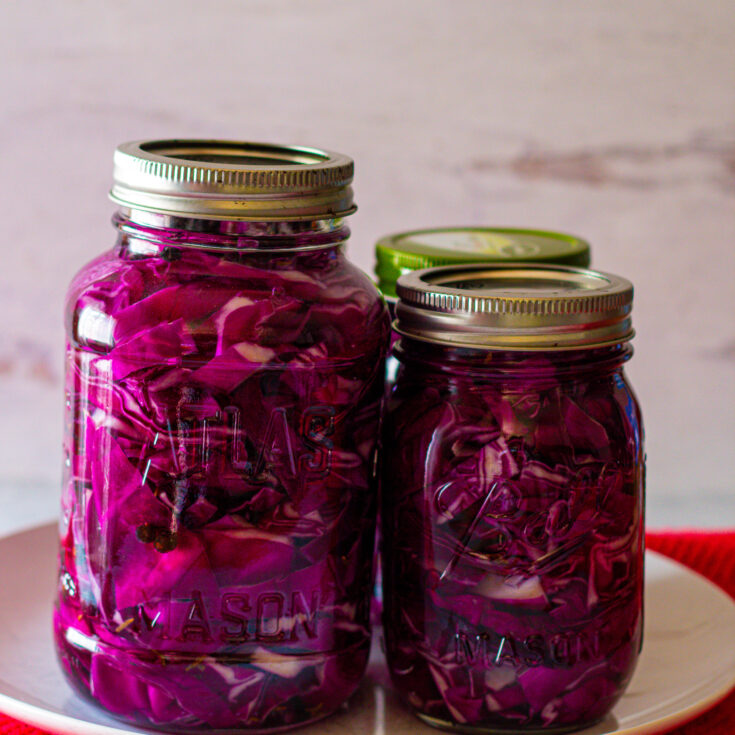 How to Ferment Your Own Red Cabbage Sauerkraut At Home In a Jar The