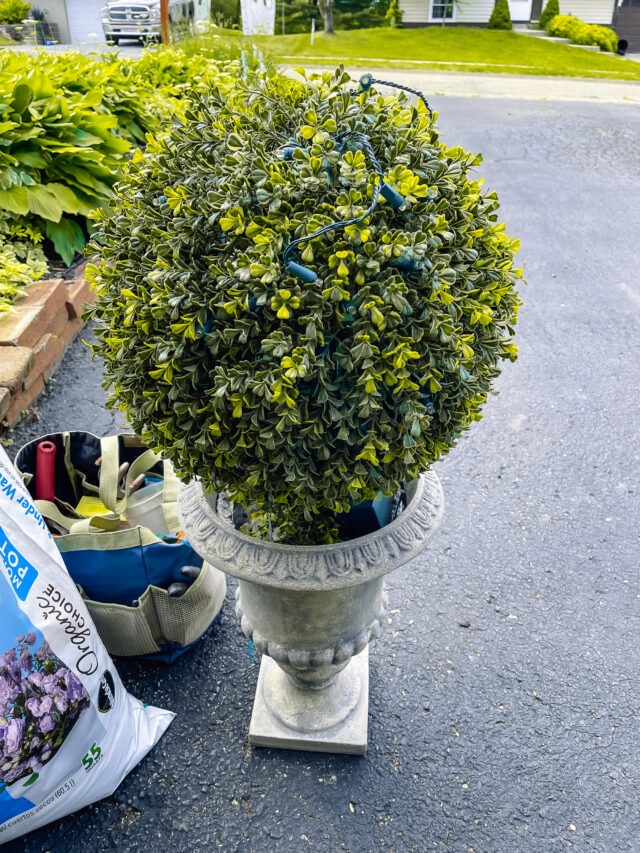 Easy and Quick Upcycled Garden Planters to Make in Minutes | The How-To