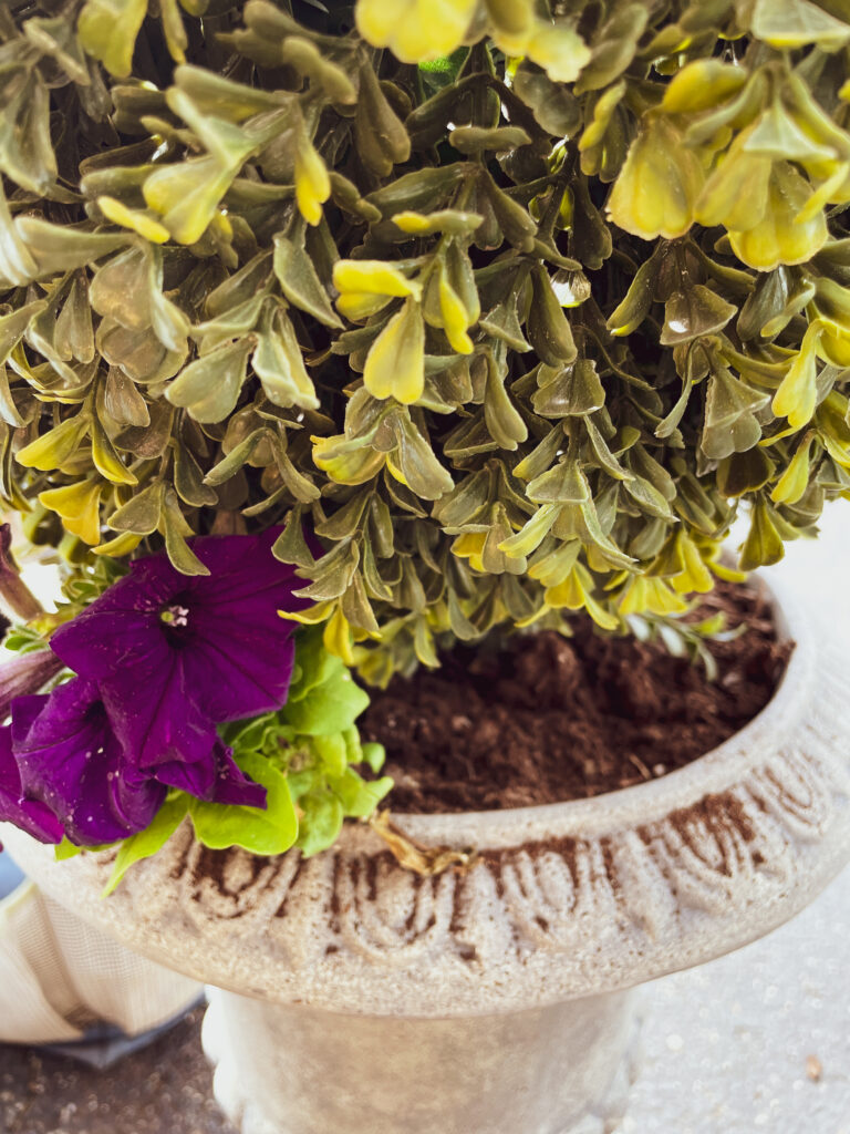 Easy and Quick Upcycled Garden Planters to Make in Minutes | The How-To