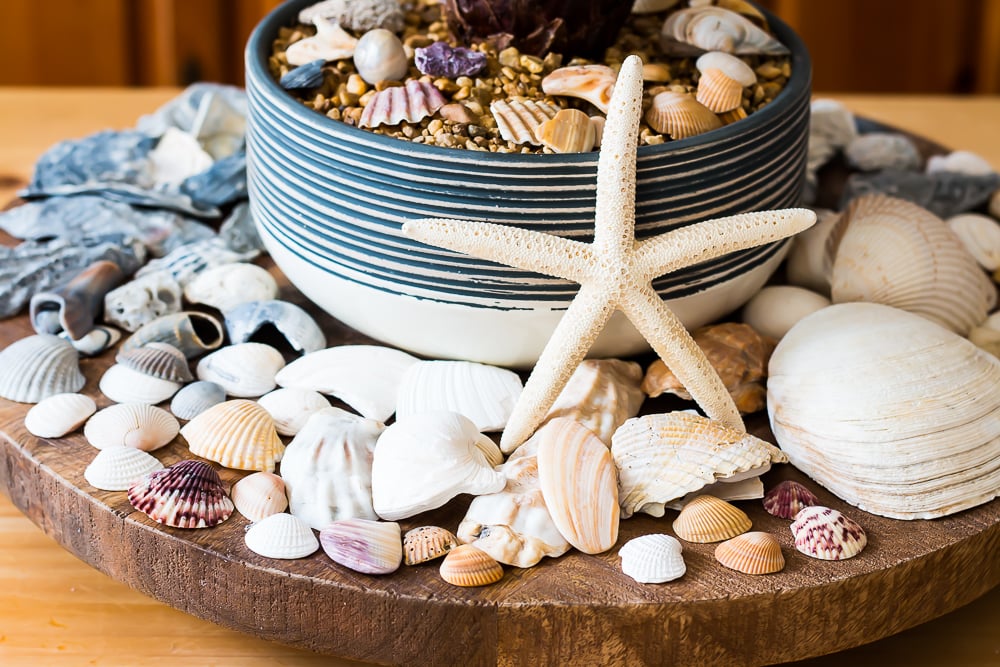 How to Make a Simple Seashell Centerpiece