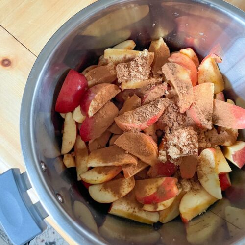 Easy Instant Pot Apple Butter Recipe No Peeling The HowTo Home