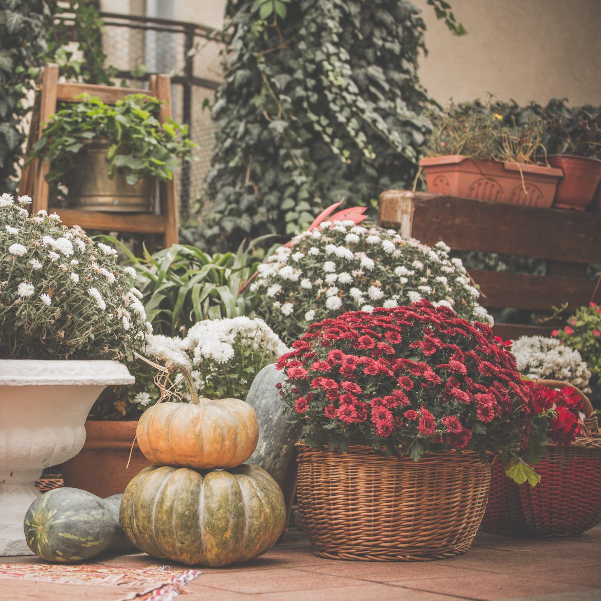 Why Autumn is a Great Time to Buy Garden Furniture