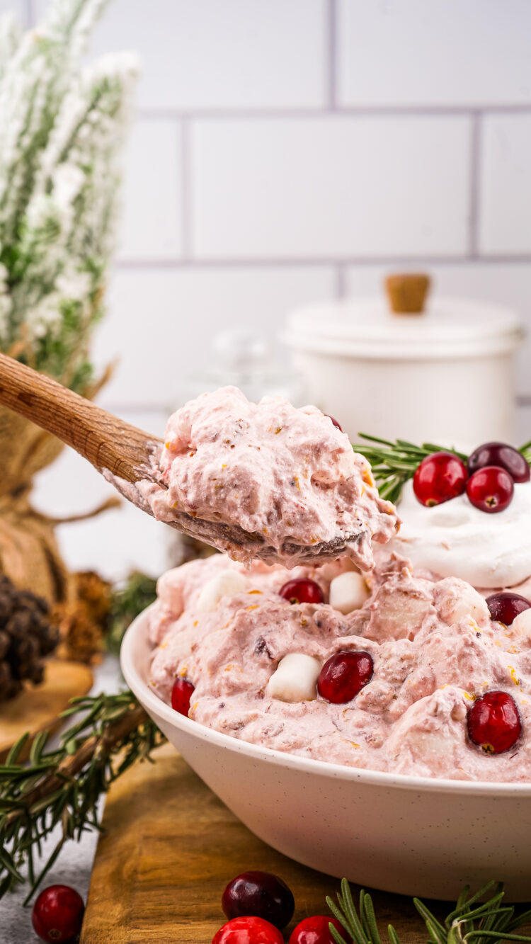 Cranberry Fluff Salad Recipe A Sweet and Tangy Holiday Dish The How