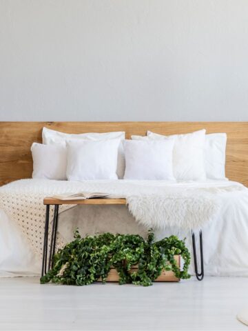 A cozy bedroom with a wooden headboard, crisp white bedding, and a plush faux fur blanket. A small wooden bench with a lush green plant sits at the foot of the bed, adding a touch of nature to the neutral space.