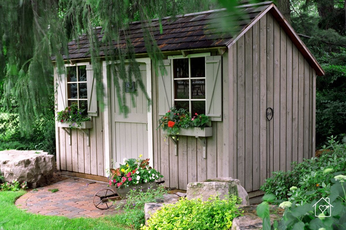 A rustic backyard shed with shutters and colorful flower boxes, nestled under tall trees.