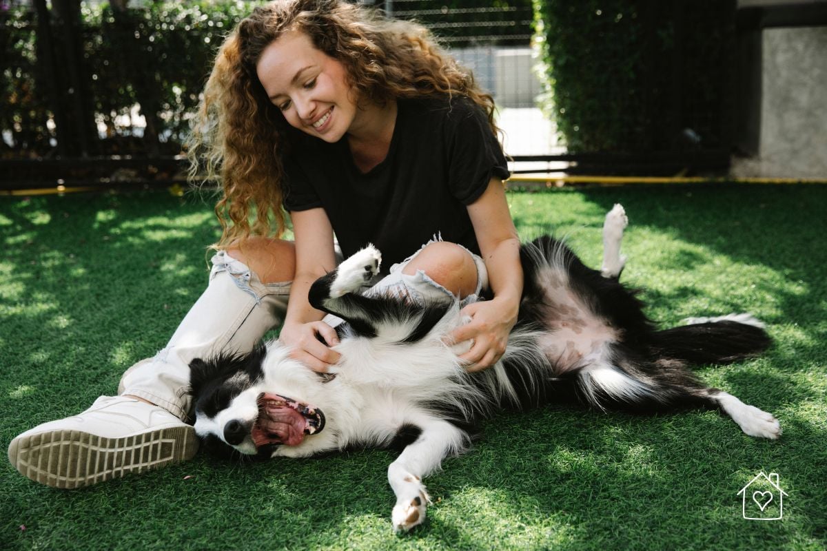 Smiling woman playing with a happy black and white dog on a well-maintained grassy yard.