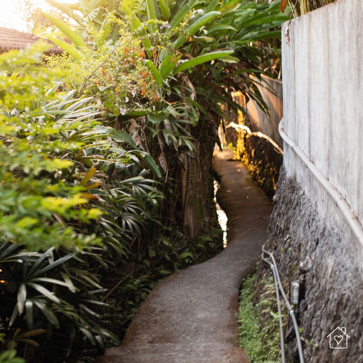 A narrow backyard path crowded with plants, emphasizing the importance of trimming and safety for foot traffic.