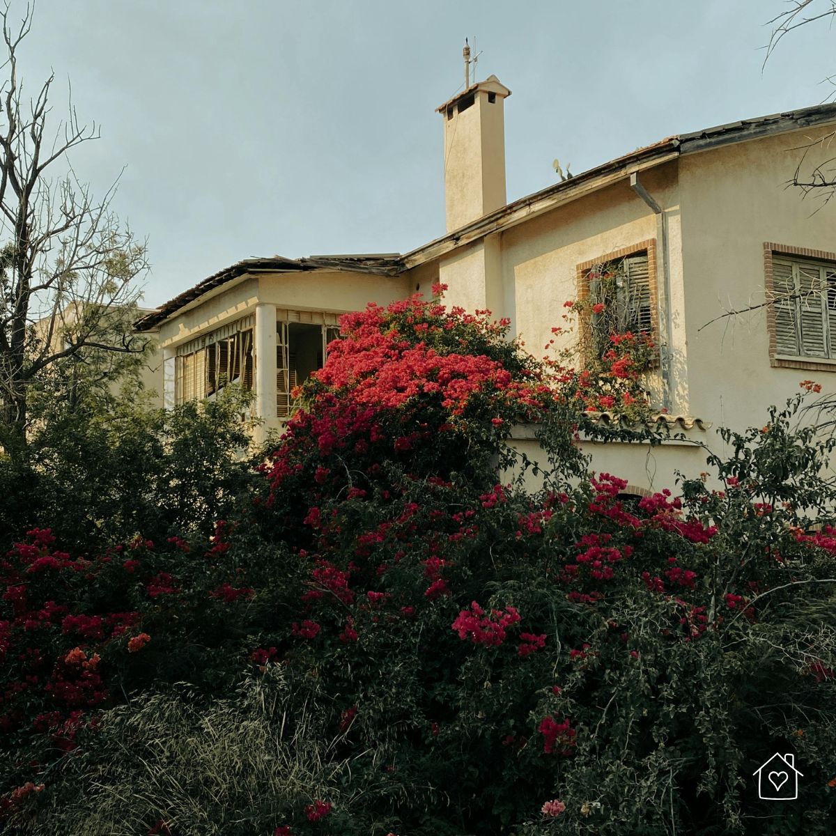 House surrounded by overgrown bushes and red flowers, highlighting risks of neglecting landscaping.