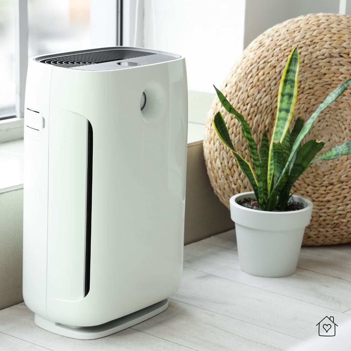 Air purifier next to a window and potted plant, symbolizing fresh indoor air.