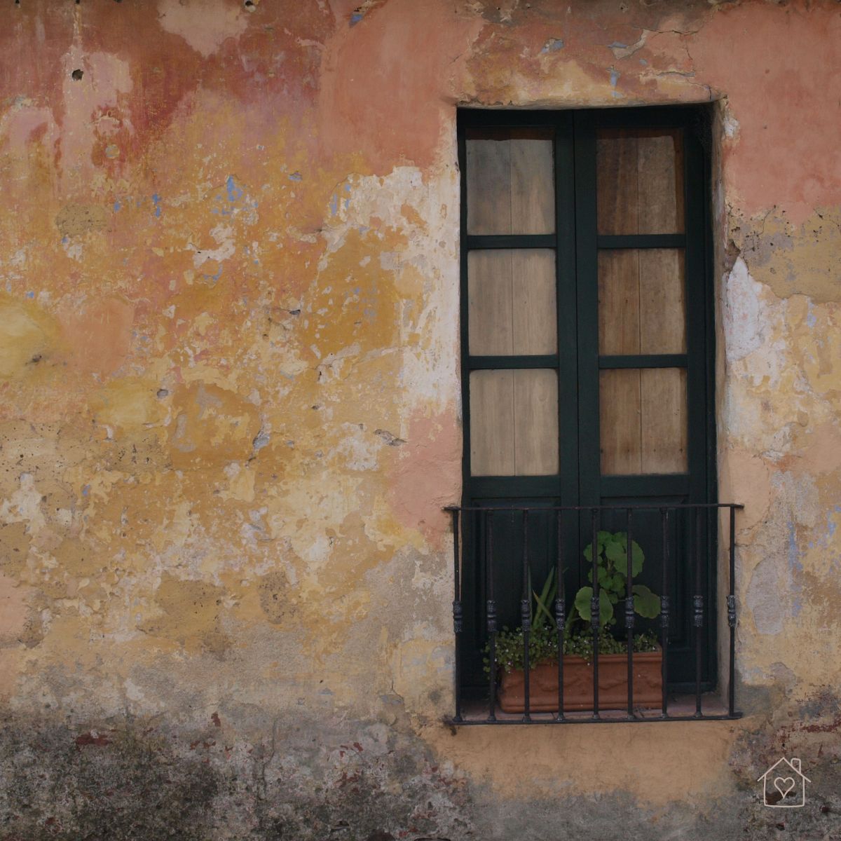 Rustic plaster wall with earthy tones and a vintage black-framed window, showcasing texture and character in Australian design.