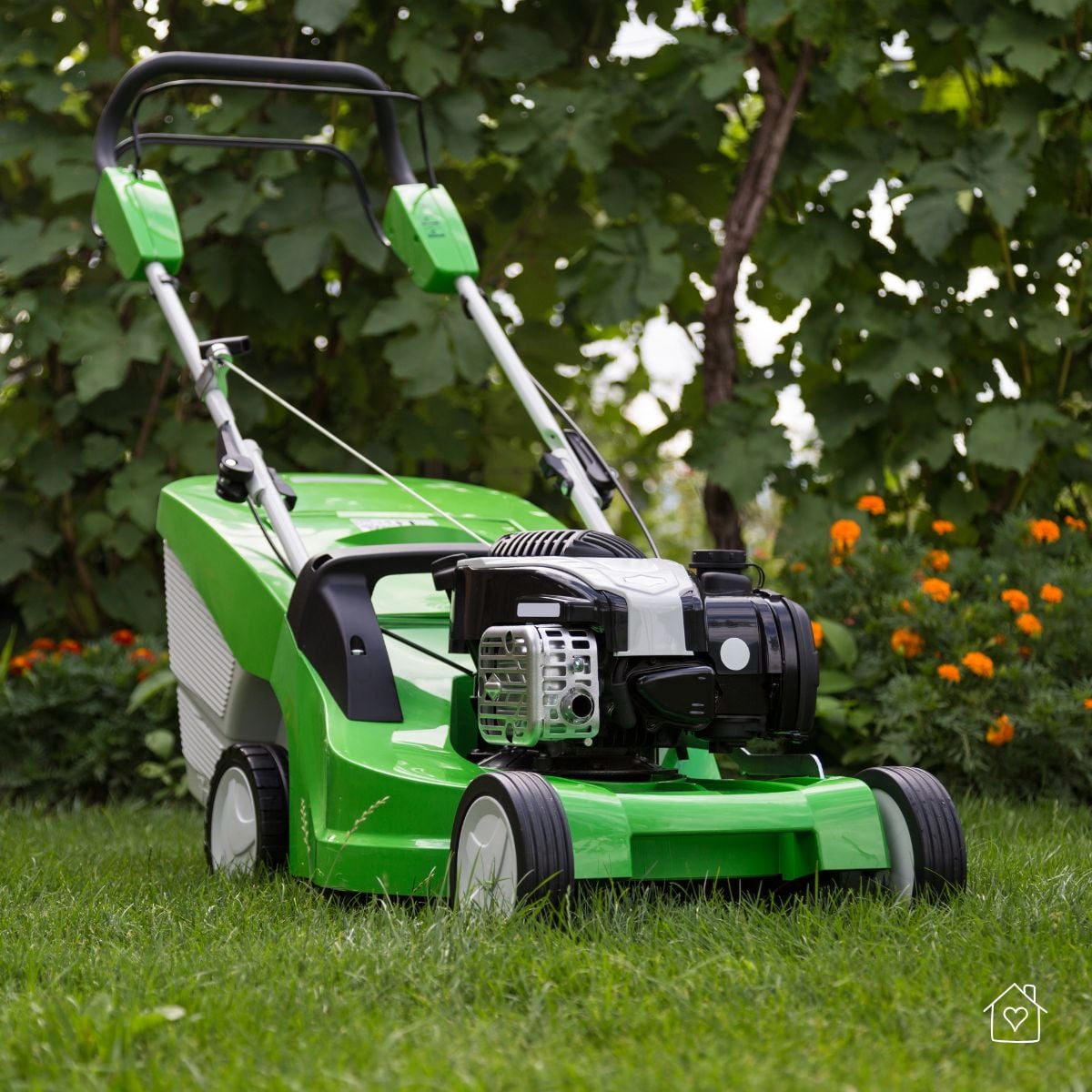Close-up of a green walk-behind lawn mower on thick grass, illustrating equipment choice when comparing lawn mower blade types used by professionals.