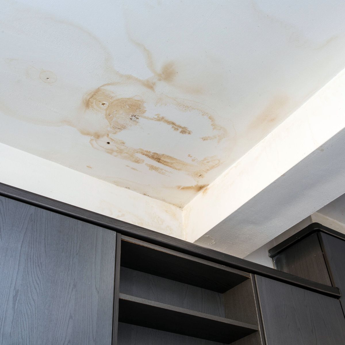 Large brown water stains spreading across a white ceiling caused by a roof leak after a Texas storm.
