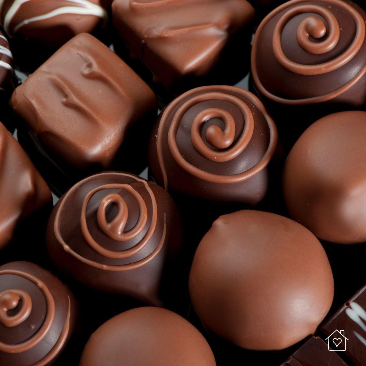 Neat rows of milk and dark chocolate truffles with decorative swirls, showing glossy temper and fine craftsmanship for connoisseur tasting.