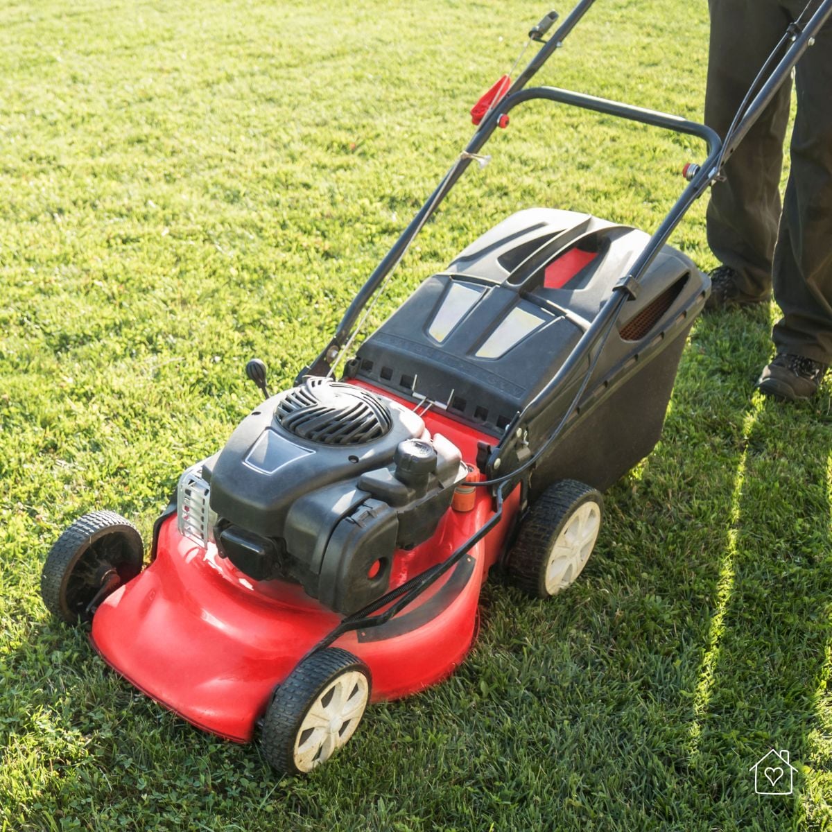 Red walk-behind mower with rear bagger on neatly cut grass, representing a standard blade delivering a crisp, uniform cut.
