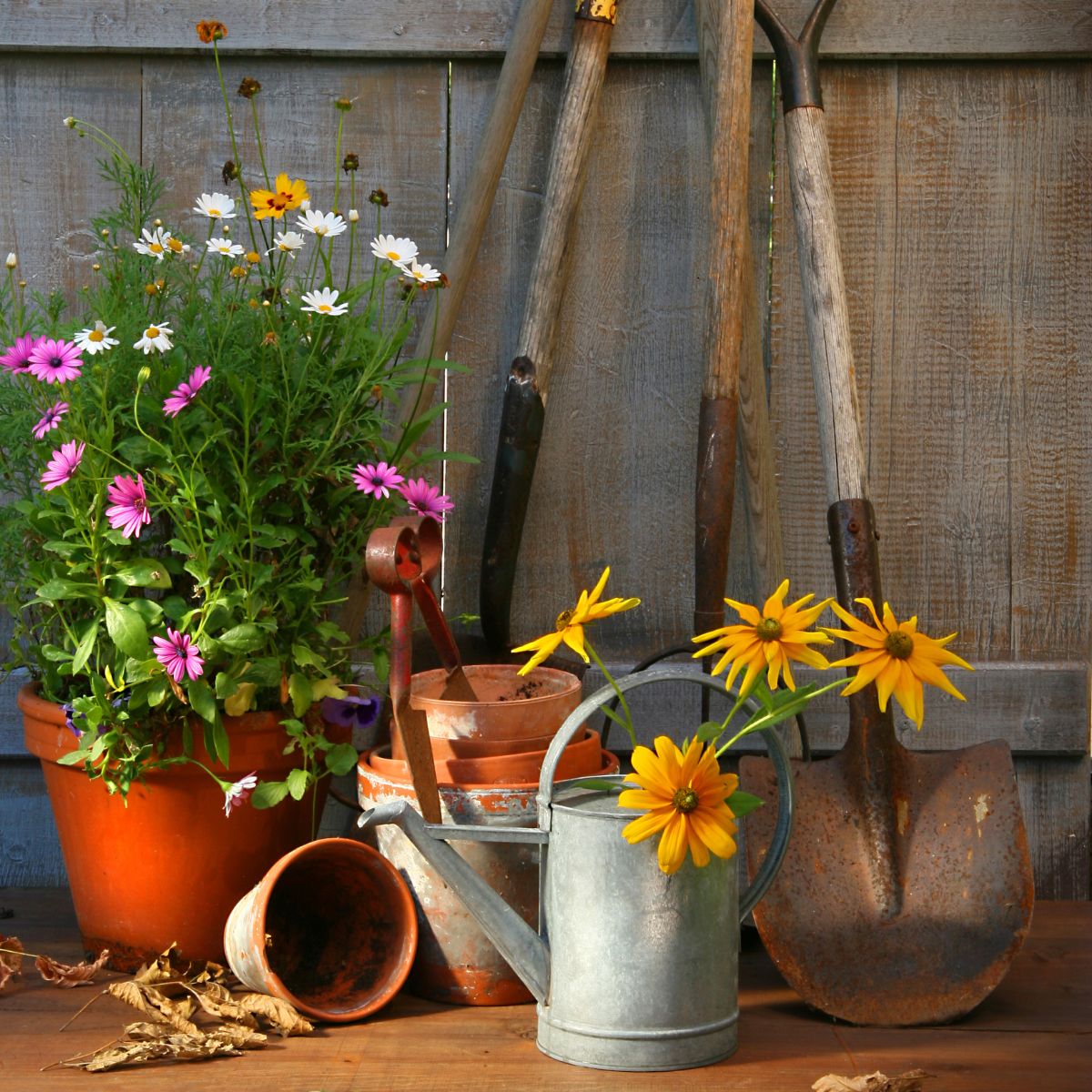 Collection of potted flowers, watering can, and garden shovels leaning against a wooden fence.