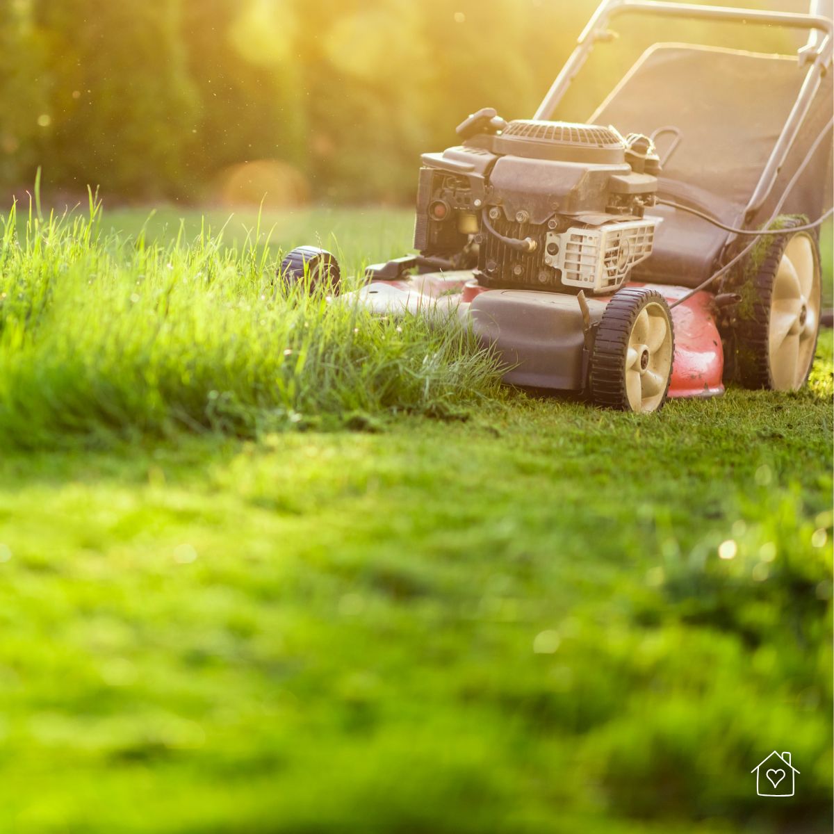 Walk-behind mower tackling taller grass in late-day light, a common use case for high-lift or sharp standard blades to lift and cleanly cut.