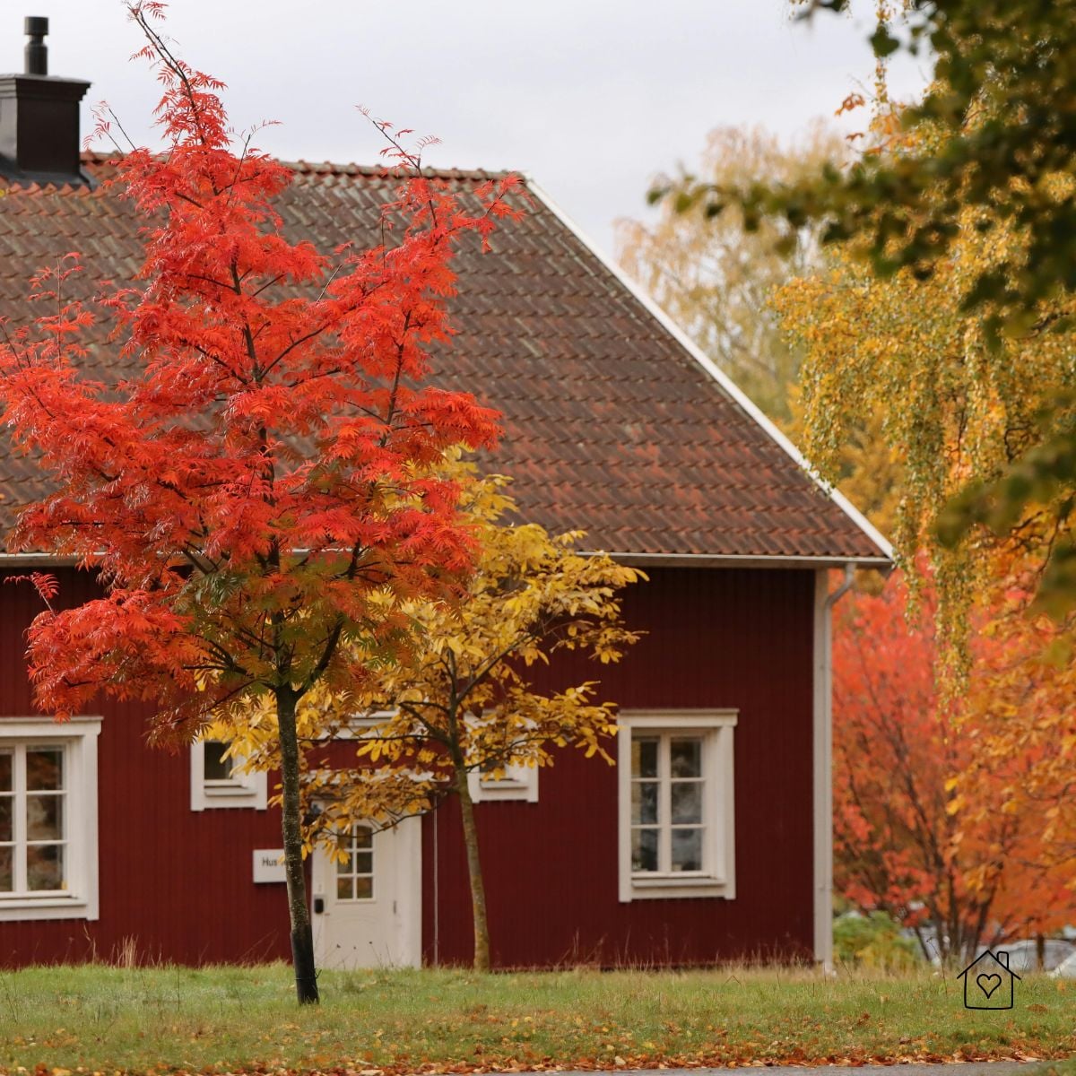 Red-painted home with vivid fall trees; crisp siding/paint shows benefits of pre-winter exterior touch-ups.