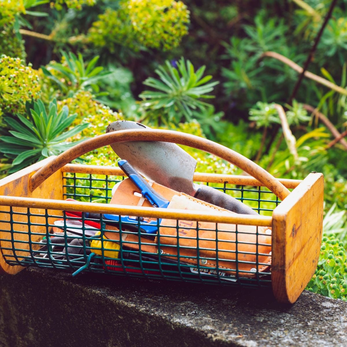Wooden-handled basket filled with spades, gloves, and hand tools placed outdoors.