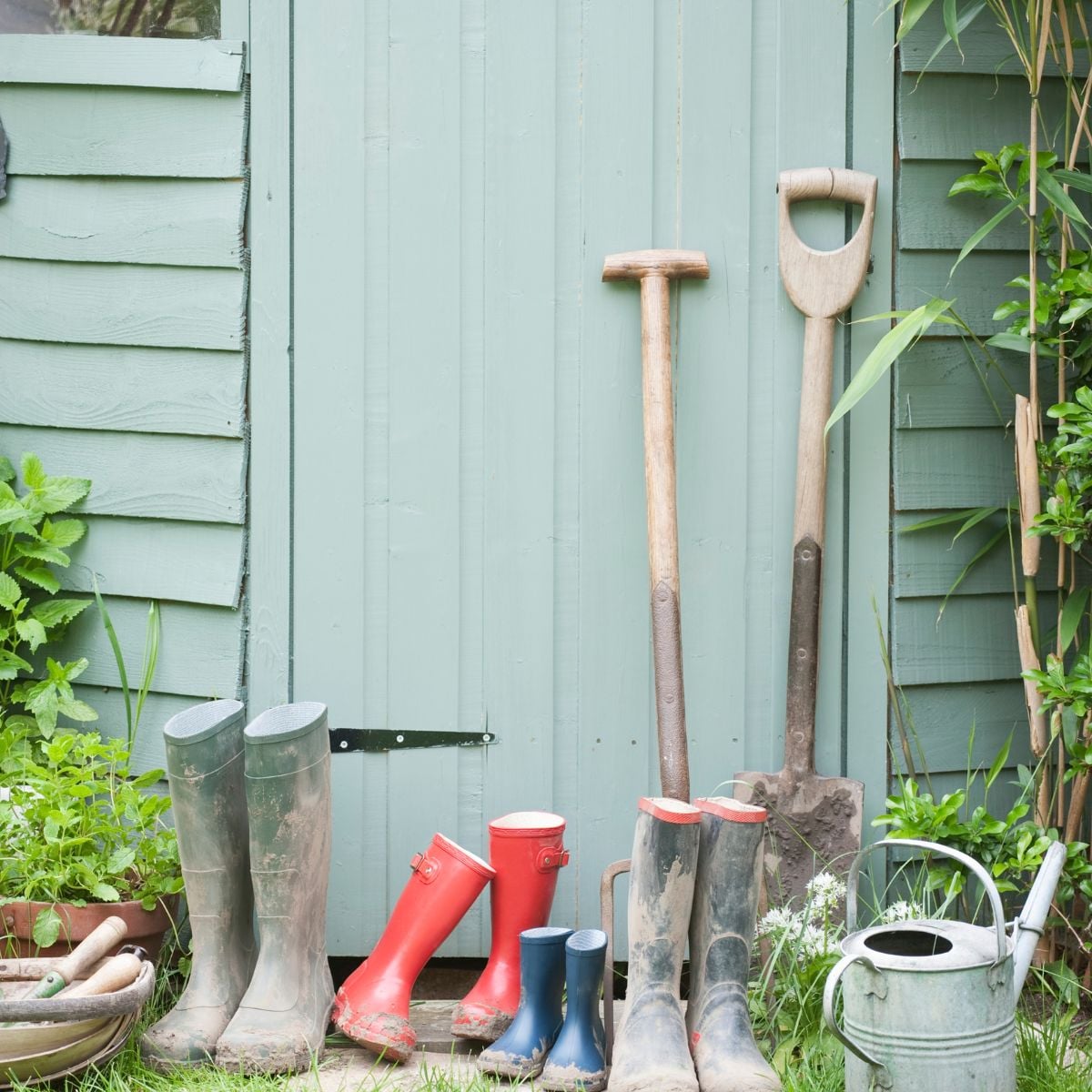 Muddy rubber boots in various sizes and garden shovels leaning against a green shed.
