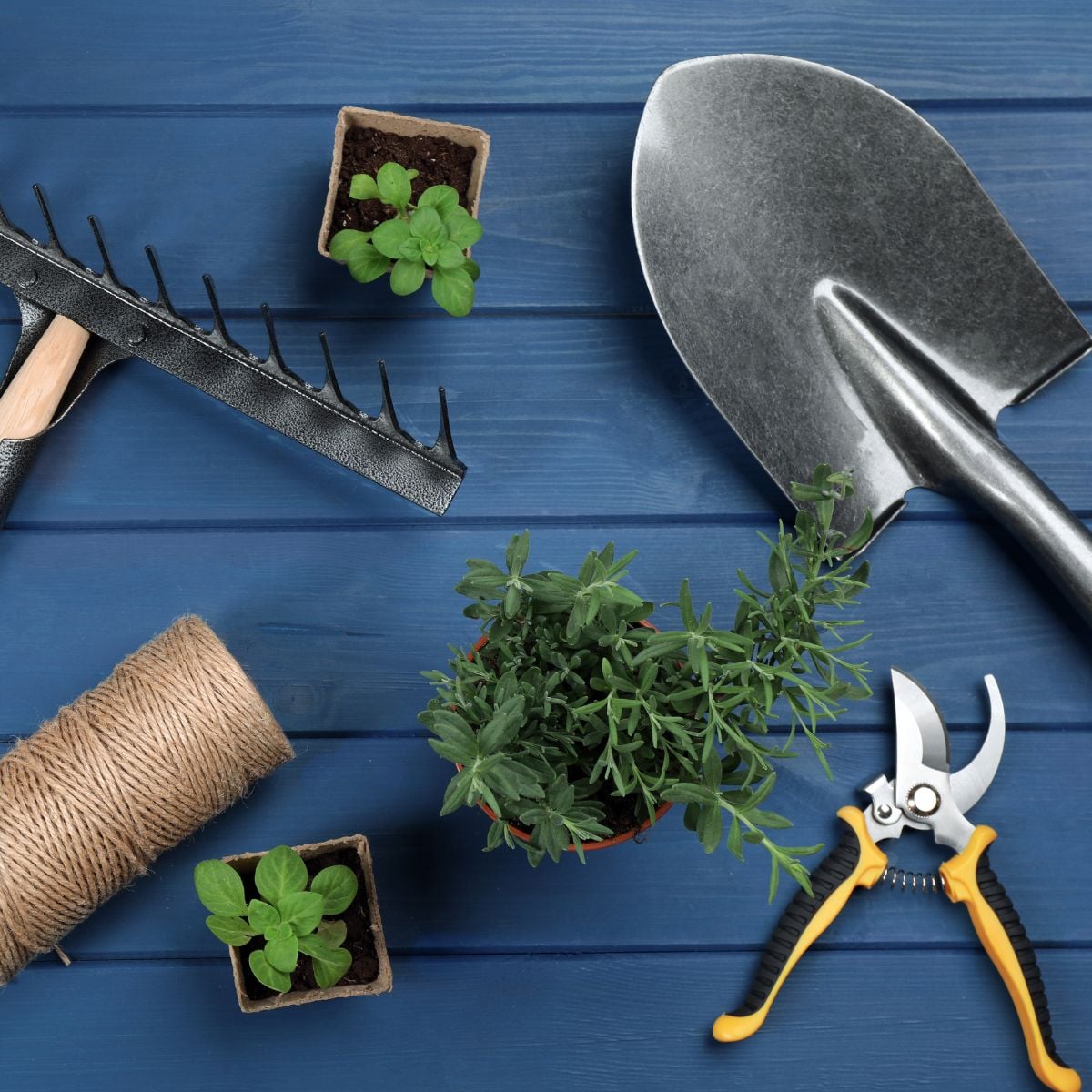 Flat lay of rake, shovel, pruners, twine, and potted plants arranged on a blue wooden surface.