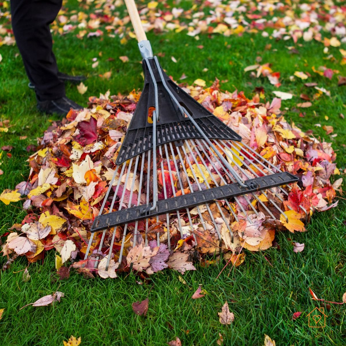 Plastic rake gathering colorful fall leaves into a pile on a green lawn.