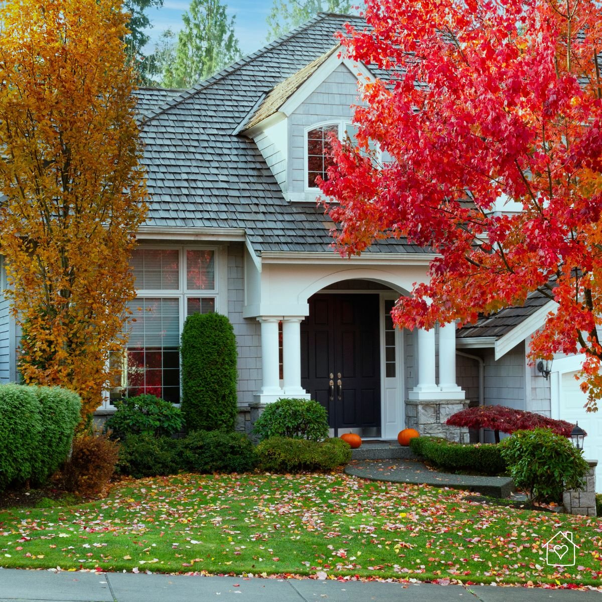Front exterior of a gray home with colorful autumn trees and pumpkins, showing how trimming or removing overgrown trees restores natural light to windows.