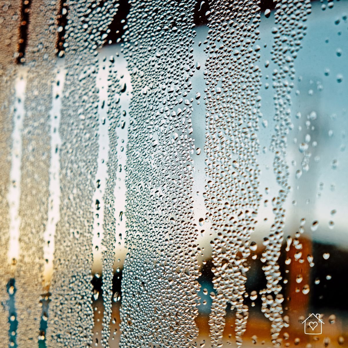Water droplets forming on a fogged-up window, showing condensation caused by excess indoor humidity.